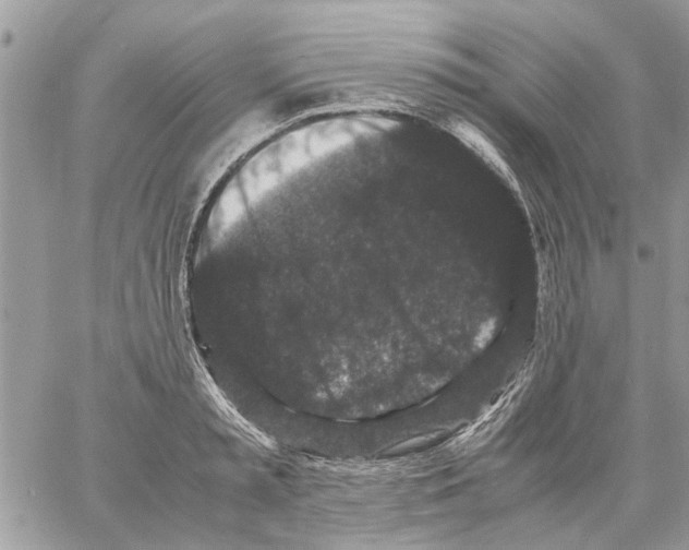 X0000061760797200512302302