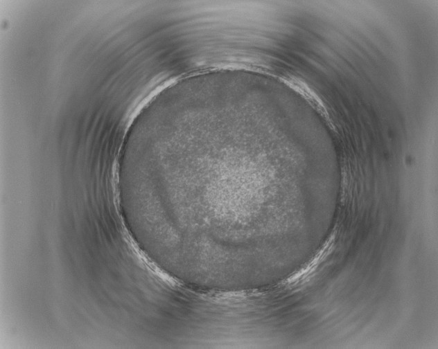 X0000061760798200512302302