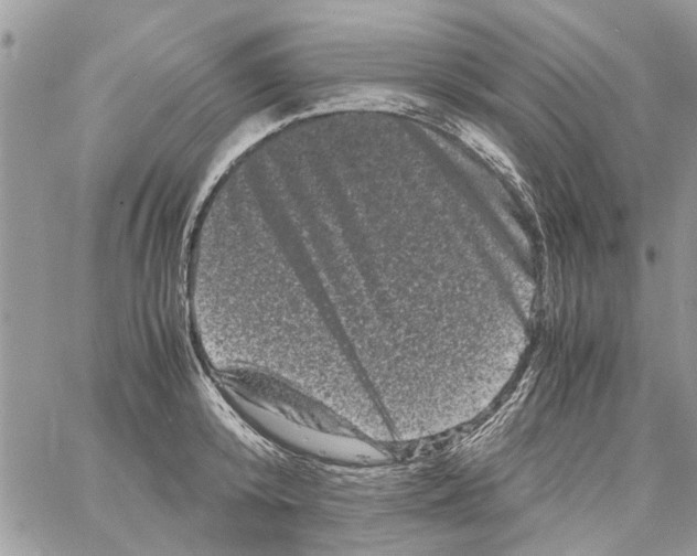 X0000061760800200512302302