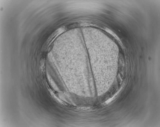 X0000061760801200512302302