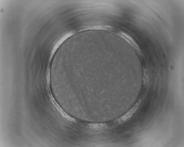 X0000061760804200512302302