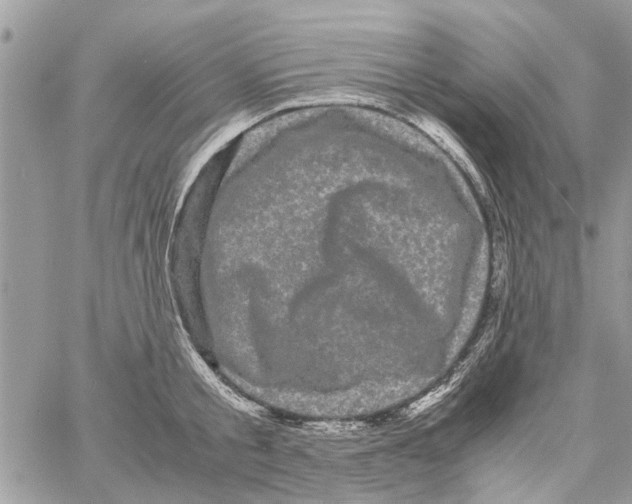 X0000061760805200512302302