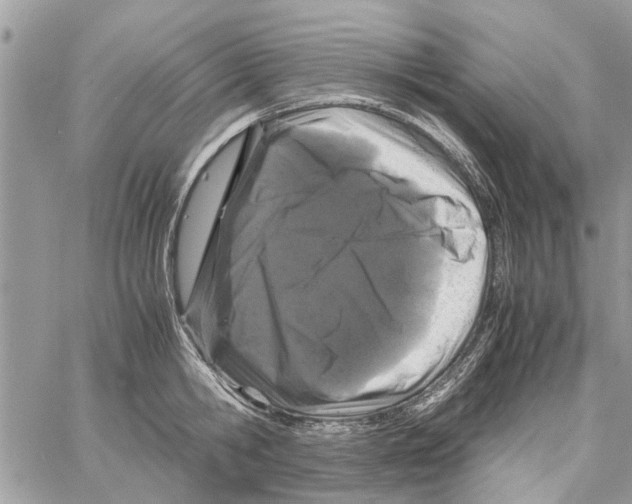 X0000061760806200512302302