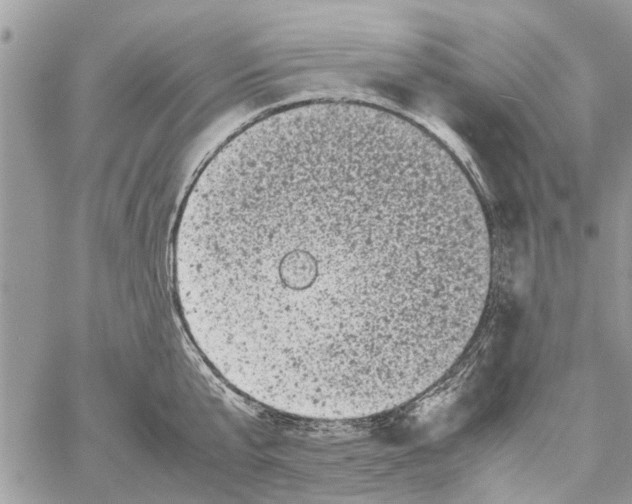 X0000061760807200512302302