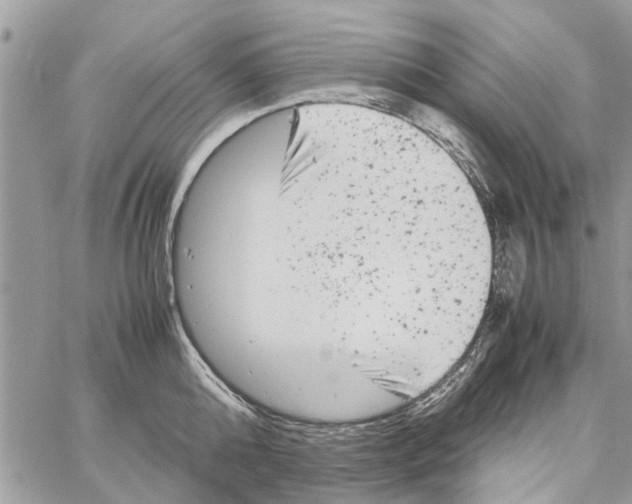 X0000061760808200512302302