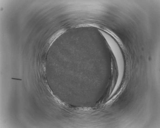 X0000061760809200512302302