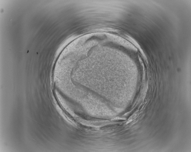 X0000061760811200512302302