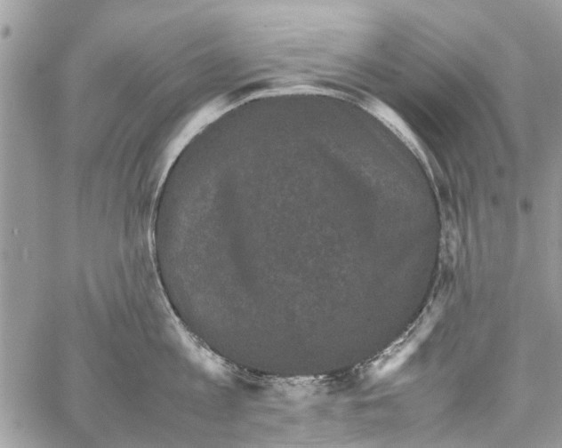 X0000061760813200512302302