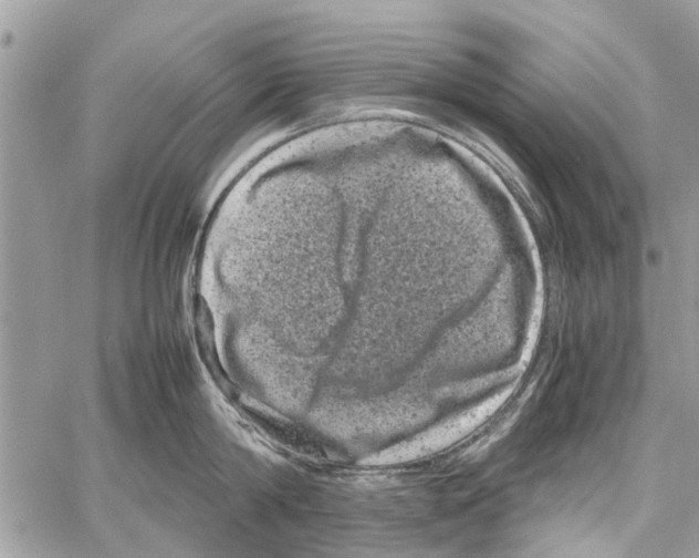 X0000061760814200512302302