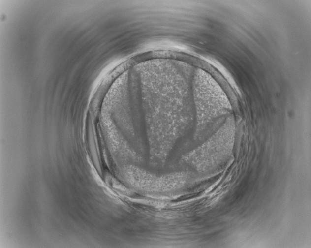 X0000061760815200512302302