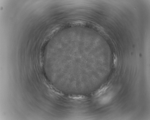 X0000061760819200512302301