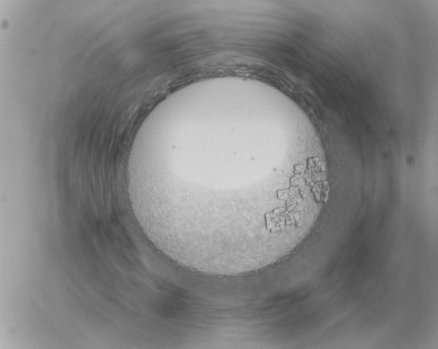 X0000061760820200512302301