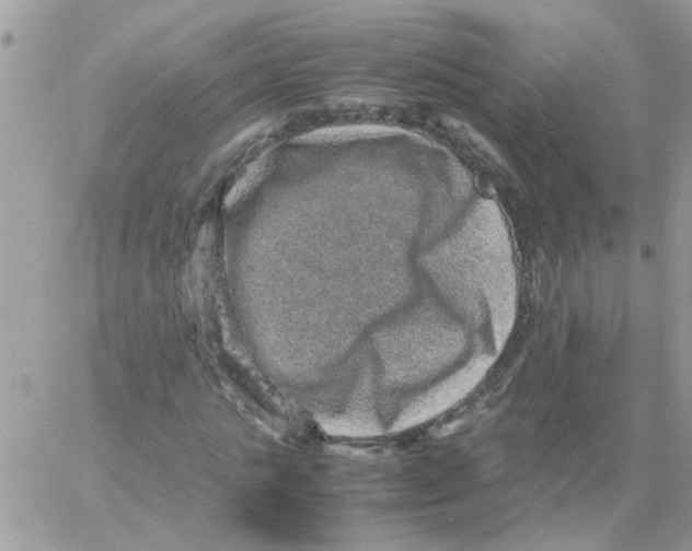 X0000061760821200512302301