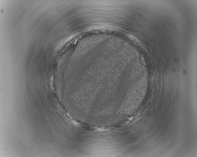 X0000061760822200512302301