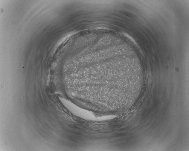 X0000061760823200512302301