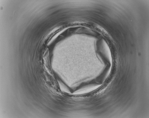 X0000061760825200512302301