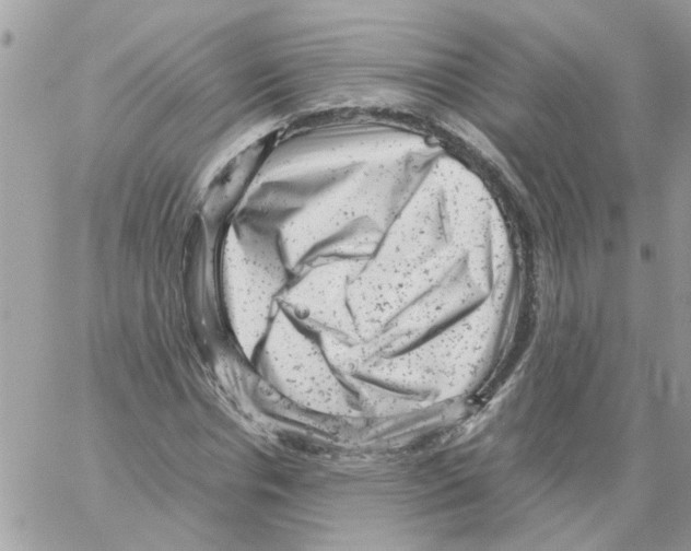 X0000061760826200512302301