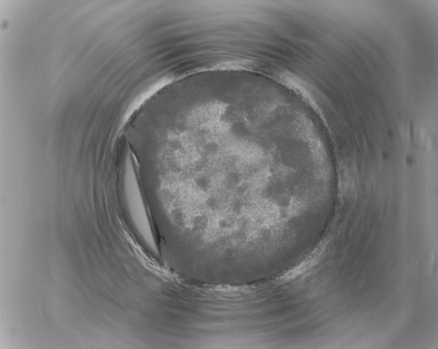 X0000061760827200512302301