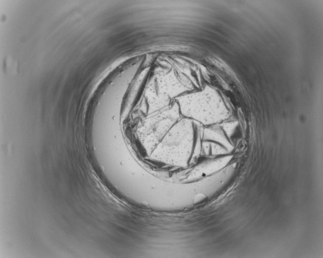 X0000061760828200512302301