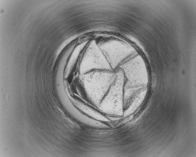 X0000061760829200512302301