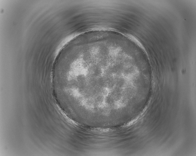 X0000061760831200512302301