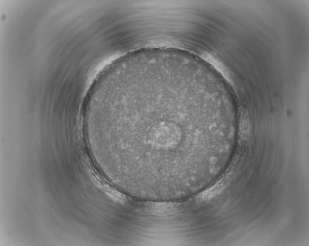 X0000061760832200512302301