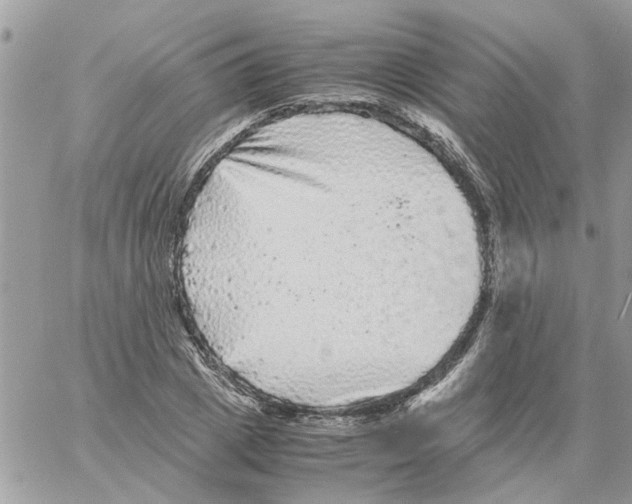 X0000061760833200512302301