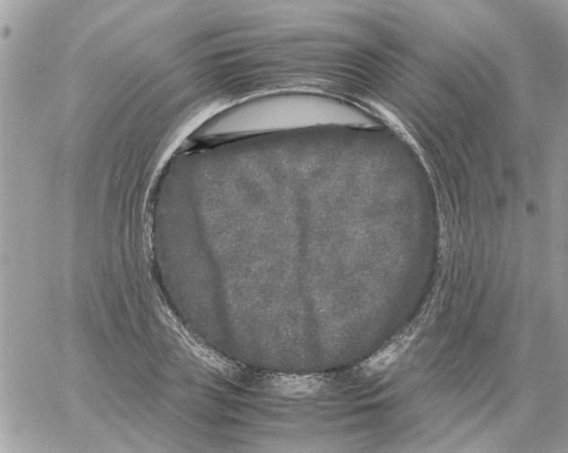 X0000061760835200512302301