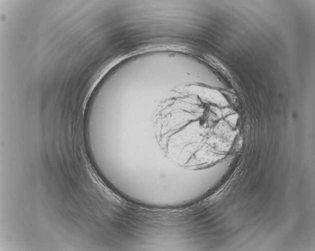 X0000061760836200512302301