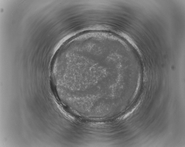 X0000061760837200512302301