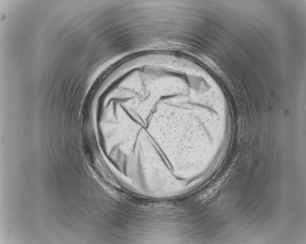 X0000061760838200512302301