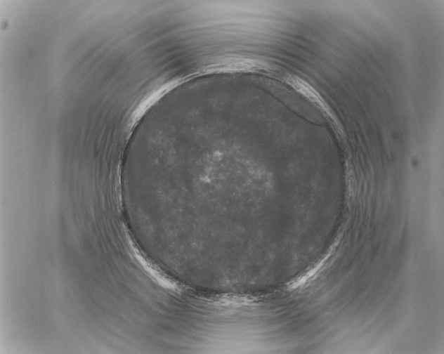 X0000061760842200512302301