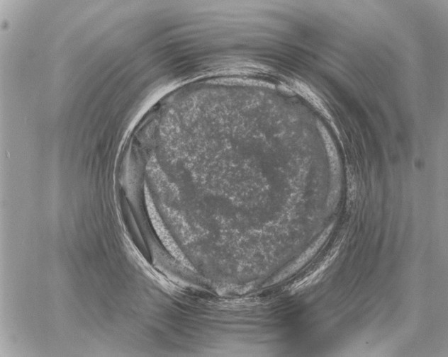 X0000061760843200512302301