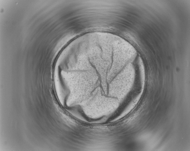 X0000061760844200512302301