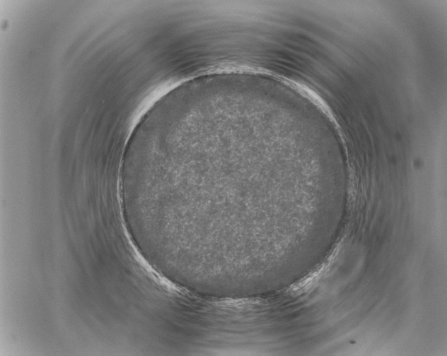 X0000061760847200512302301