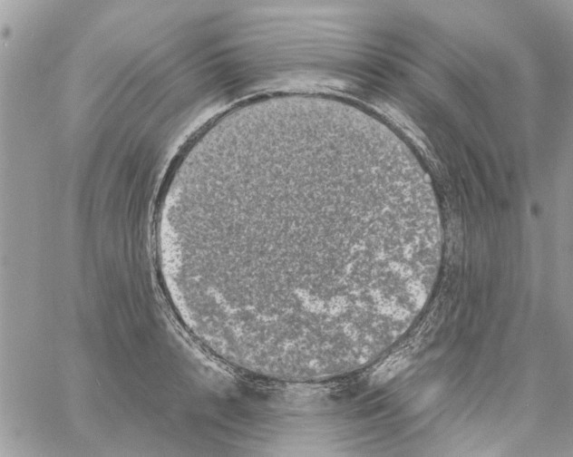 X0000061760848200512302301