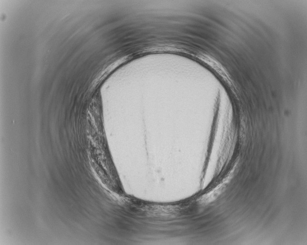 X0000061760849200512302301