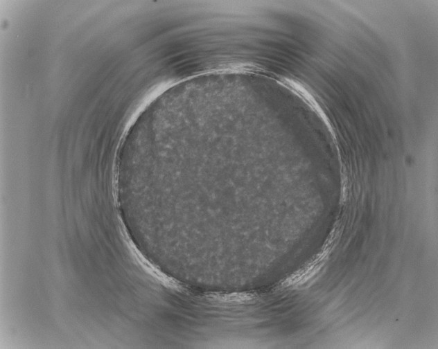 X0000061760851200512302301