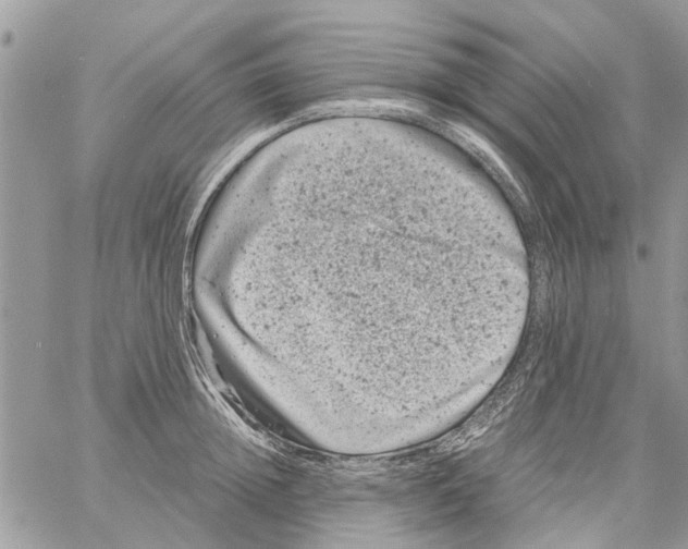 X0000061760852200512302302