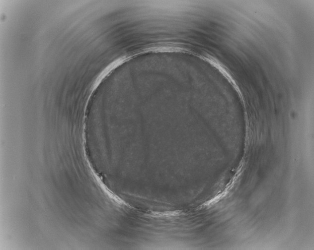 X0000061760853200512302302