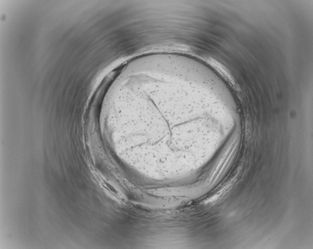 X0000061760854200512302302