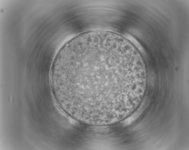 X0000061760856200512302302