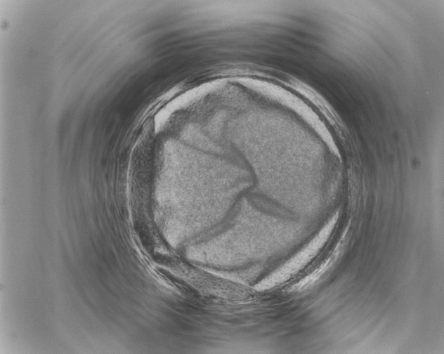 X0000061760857200512302302