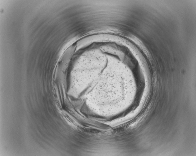 X0000061760858200512302302