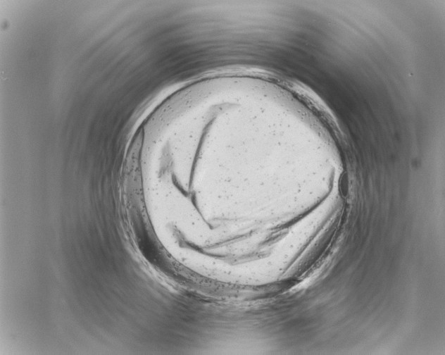 X0000061760860200512302302