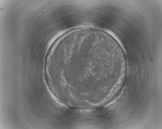 X0000061760861200512302302