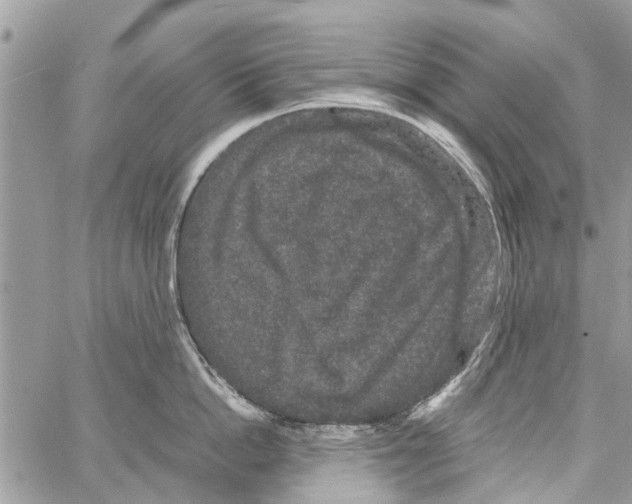 X0000061760862200512302302