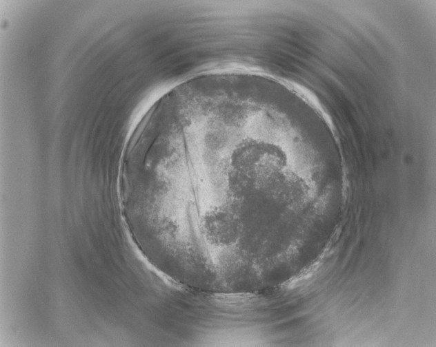 X0000061760863200512302302