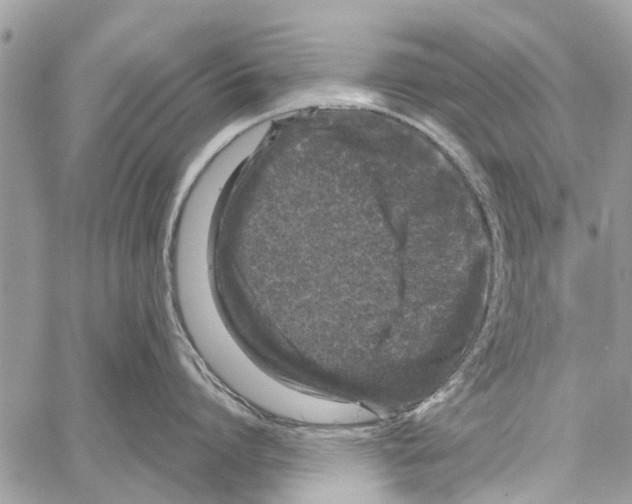 X0000061760864200512302302