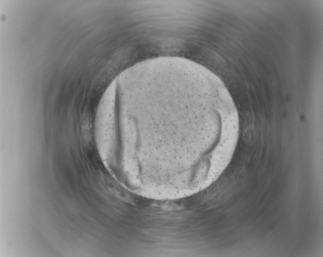 X0000061760866200512302301